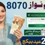 CM Punjab Eid Package 2026 Registration Process