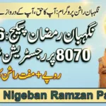 Punjab Nigehban Ramzan Package 2026