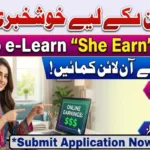 How To Apply For E-Learn She Earn Punjab Program 2026